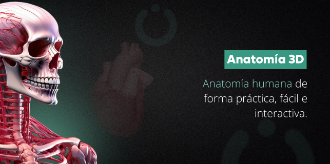 Artigos - Imagem_Anatomia_LP_ES